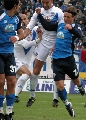 Click for preview picture of "44 (463 x 640)"
